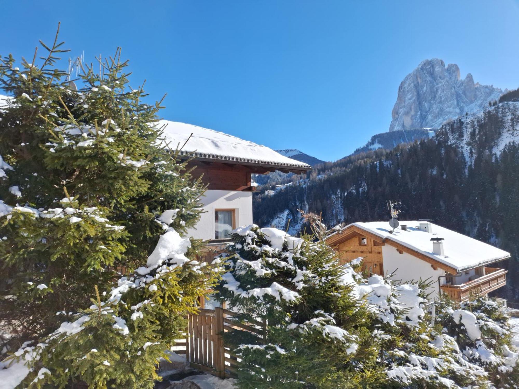 Apartments Insam Santa Cristina Val Gardena Ngoại thất bức ảnh